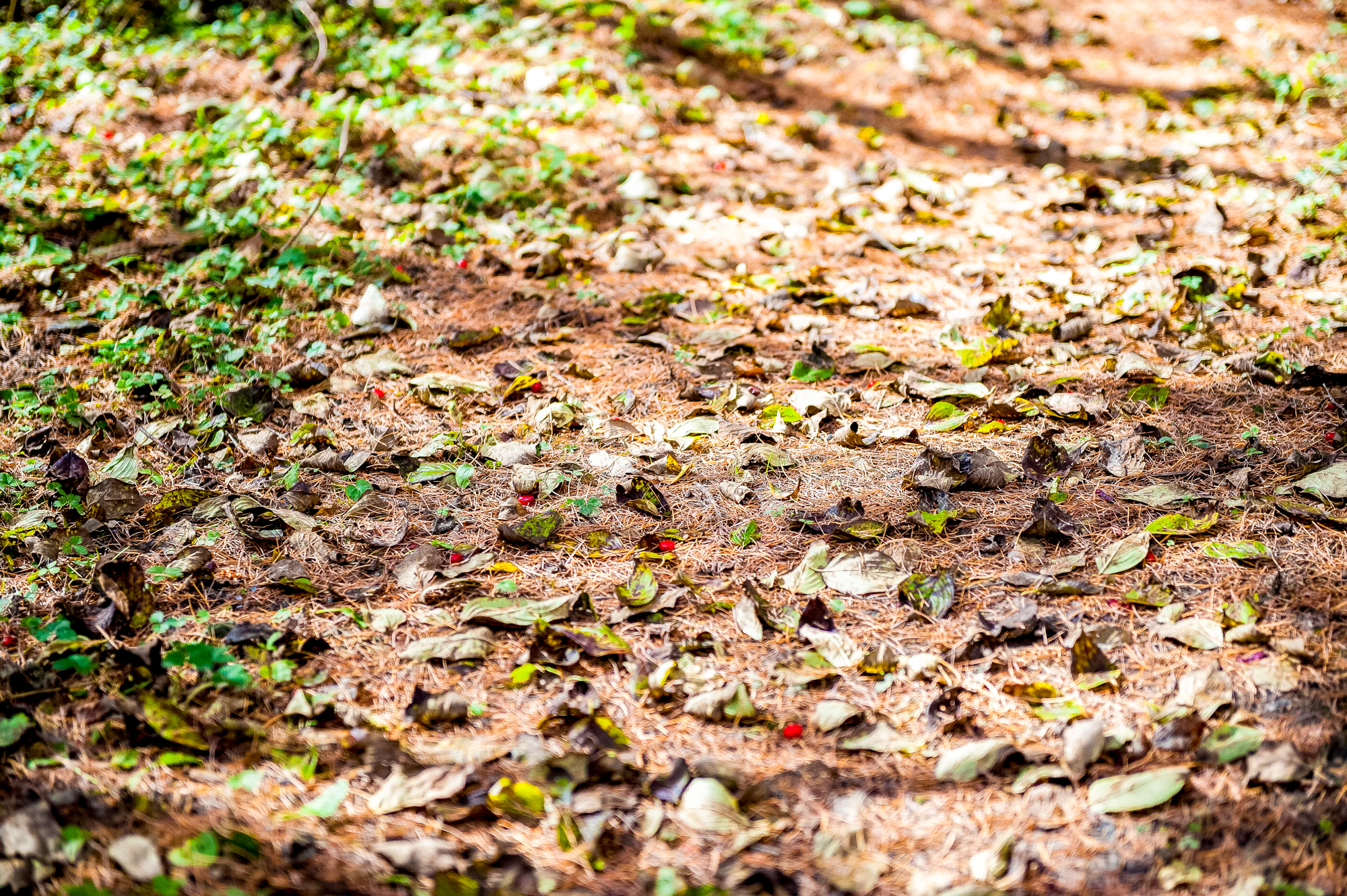 周至秘境,周至美景小众