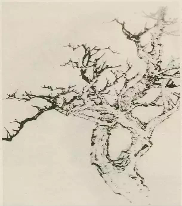 怎么画树最简单而且还最好看,怎么样才能画树画的最好看