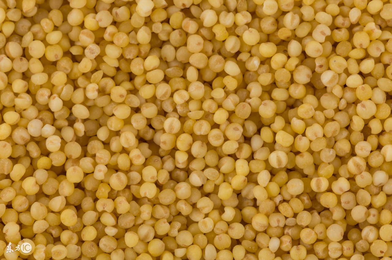 高粱的营养价值及功效,高粱营养特性