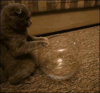 这些“不正经”的科学家，你们想笑死我，好继承我的蚂蚁花呗吗？