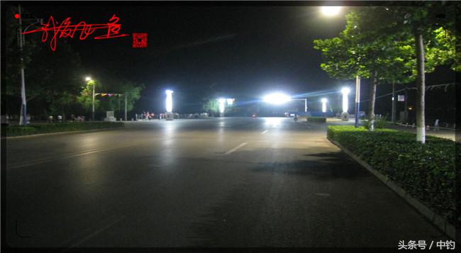乌河湿地公园夜钓鱼,乌水边夜钓