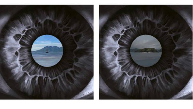 teamLab你颤抖吧!《艺术航海大型回顾展》强势登陆