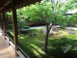 碉堡｜日本关西深度游最详细攻略！体验全日本最美的小渔村，吃嗨