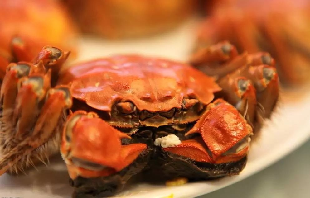 上海特产排行榜前十名小食品,上海特产有哪些最值得带的