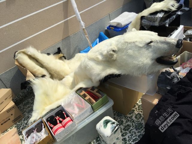 日本小众深度游玩攻略,日本关西打卡攻略