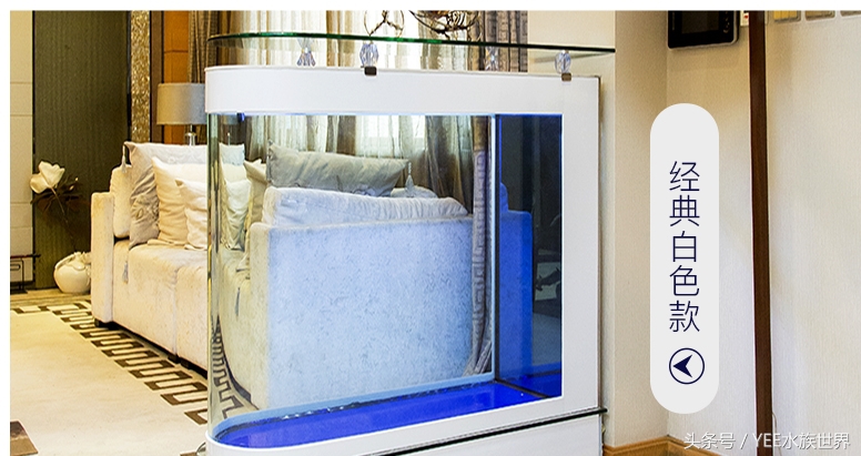 上滤、底滤、背虑、外挂、内置各种过滤，到底哪种适合你的鱼缸？