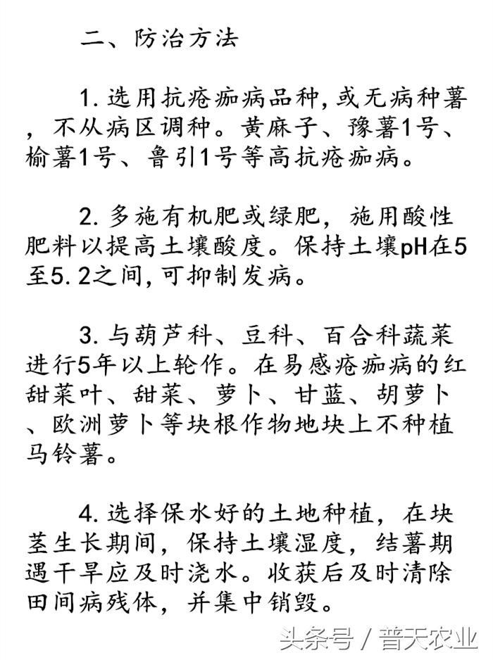 马铃薯疮痂病发生症状,马铃薯疮痂病的发病症状