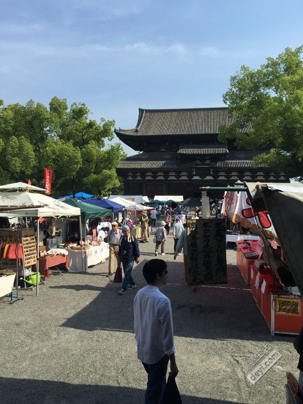 碉堡｜日本关西深度游最详细攻略！体验全日本最美的小渔村，吃嗨