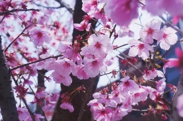 《景区包场指南》：如何在人肉堆里拍出“空无一人”的照片？