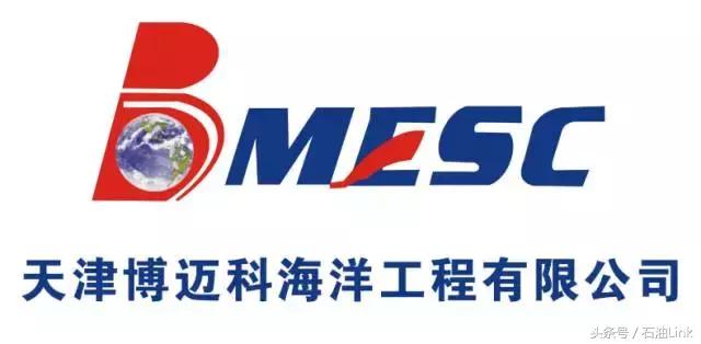 山东石油公司十大排名,中国石油企业排行榜前十名