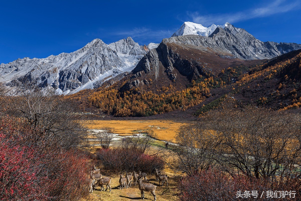 6天往返川藏线,自驾31810天过稻城攻略