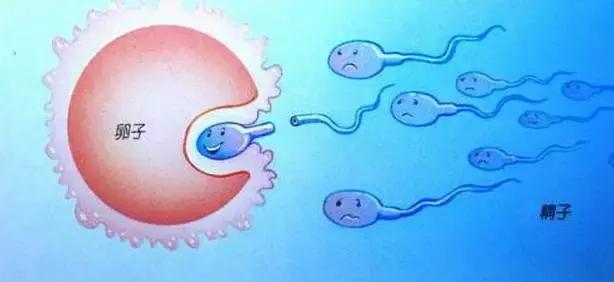 妈妈怎么跟男孩谈性教育,怎样和孩子谈性教育