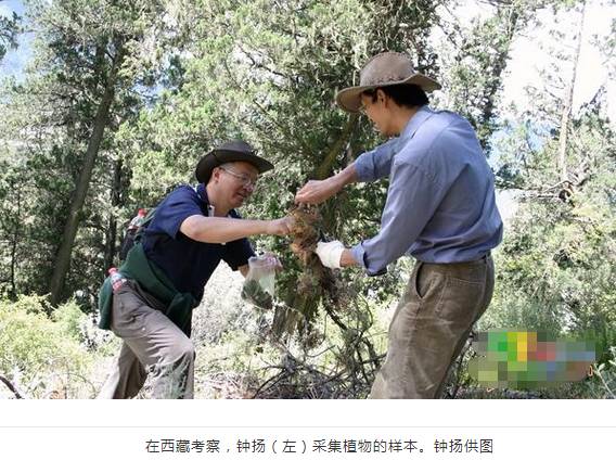 复旦大学教授车祸死亡,复旦教授在西藏遇车祸死亡