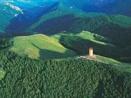 十一去哪玩划算 (十一最适合去哪里玩)