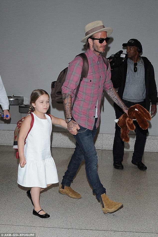 最新小七哈珀贝克汉姆,哈珀塞文贝克汉姆小七