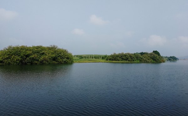 横县茉莉花之乡中华茉莉园,欢迎来到广西横县茉莉花之乡