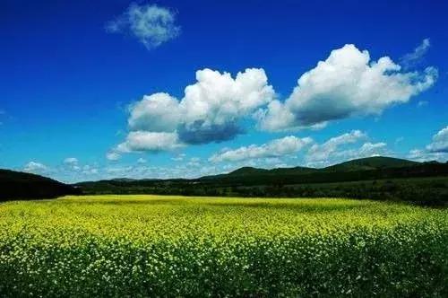 十一去哪玩划算 (十一最适合去哪里玩)