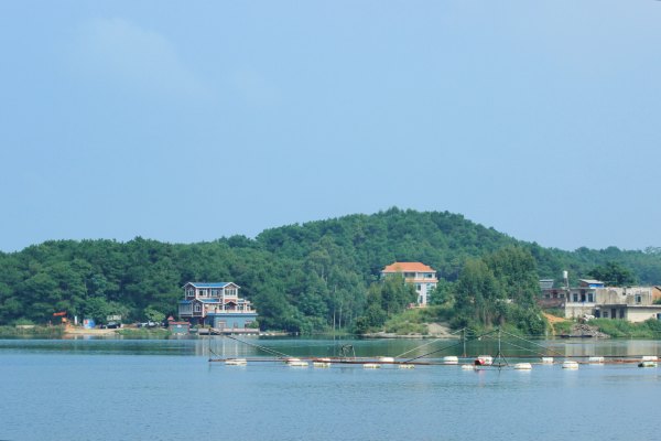 横县茉莉花之乡中华茉莉园,欢迎来到广西横县茉莉花之乡
