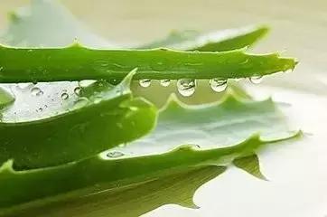 90%的人不知道的事实,90%的人不知道的技巧