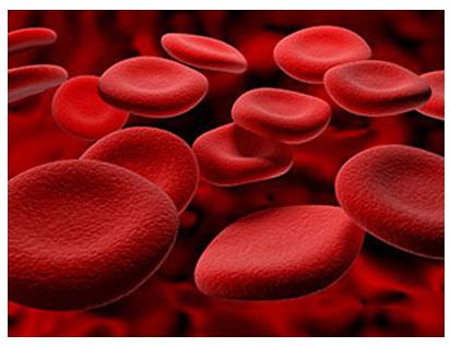 缺铁性贫血吃什么食物补血最快最好,孕妇贫血吃什么食物补血最快