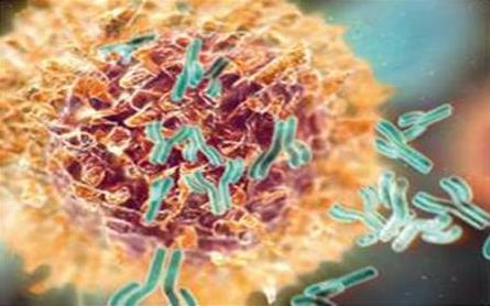 高仓健患淋巴瘤,高仓健淋巴瘤