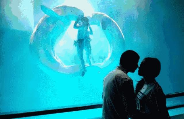 大连圣亚海洋世界门票老年优惠,大连圣亚海洋世界门票六一打折吗