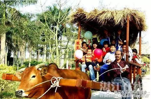 农村休闲农业17种卖点值得收藏,休闲农业与乡村美食