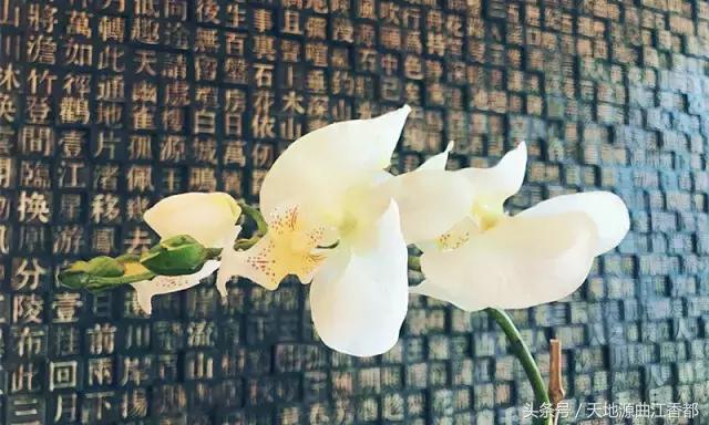 可以调素琴阅金经无丝竹之乱耳,听任素汐的歌用什么音响