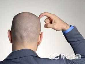 分级基金的基本知识,一文读懂债券基金分类