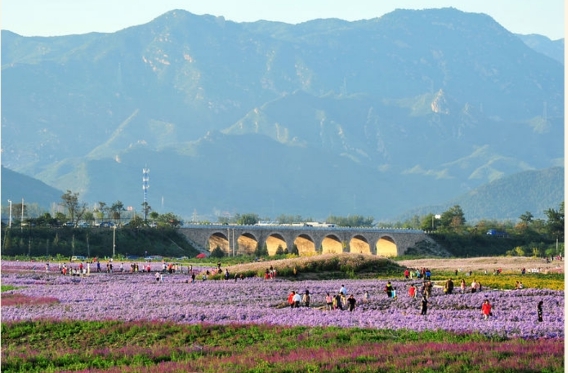 生活不止眼前的苟且小爱带你去昌平探索诗和远方