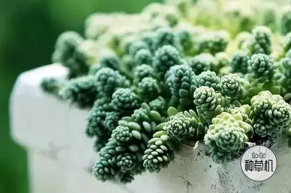 月入三千在上海怎么活,上海月入一万还能活吗