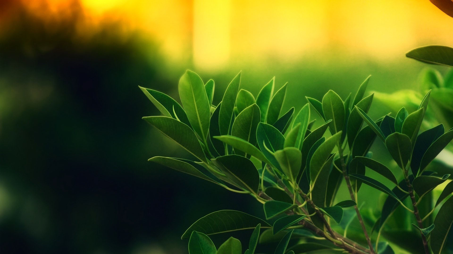 什么是九型人格,什么是九型人格课程