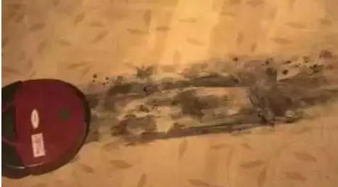 养狗别用扫地机器人,养狗狗用扫地机器人吗