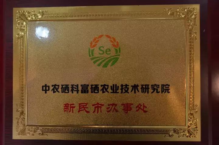 富硒农业将新民散落的珍珠串成项链！记京沈合作新民农业项目系列合作对接洽谈（二）