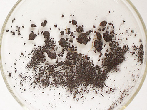 古代女子避孕用什么东西,古代女子避孕的4个方法