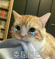 测评朵唯手机朵喵喵,朵唯l525手机好用吗