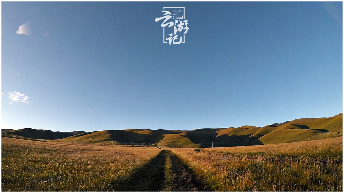 满足你对南国草原的想象,满足你对遥远藏区的想象