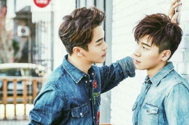 这些年，我们被安利的腐剧们