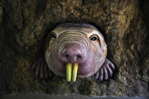 最受欢迎的动物园排行,世界上动物最全的动物园