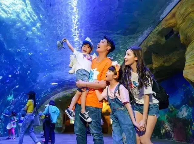 带娃广州长隆旅游攻略,广州珠海长隆攻略亲子游5天