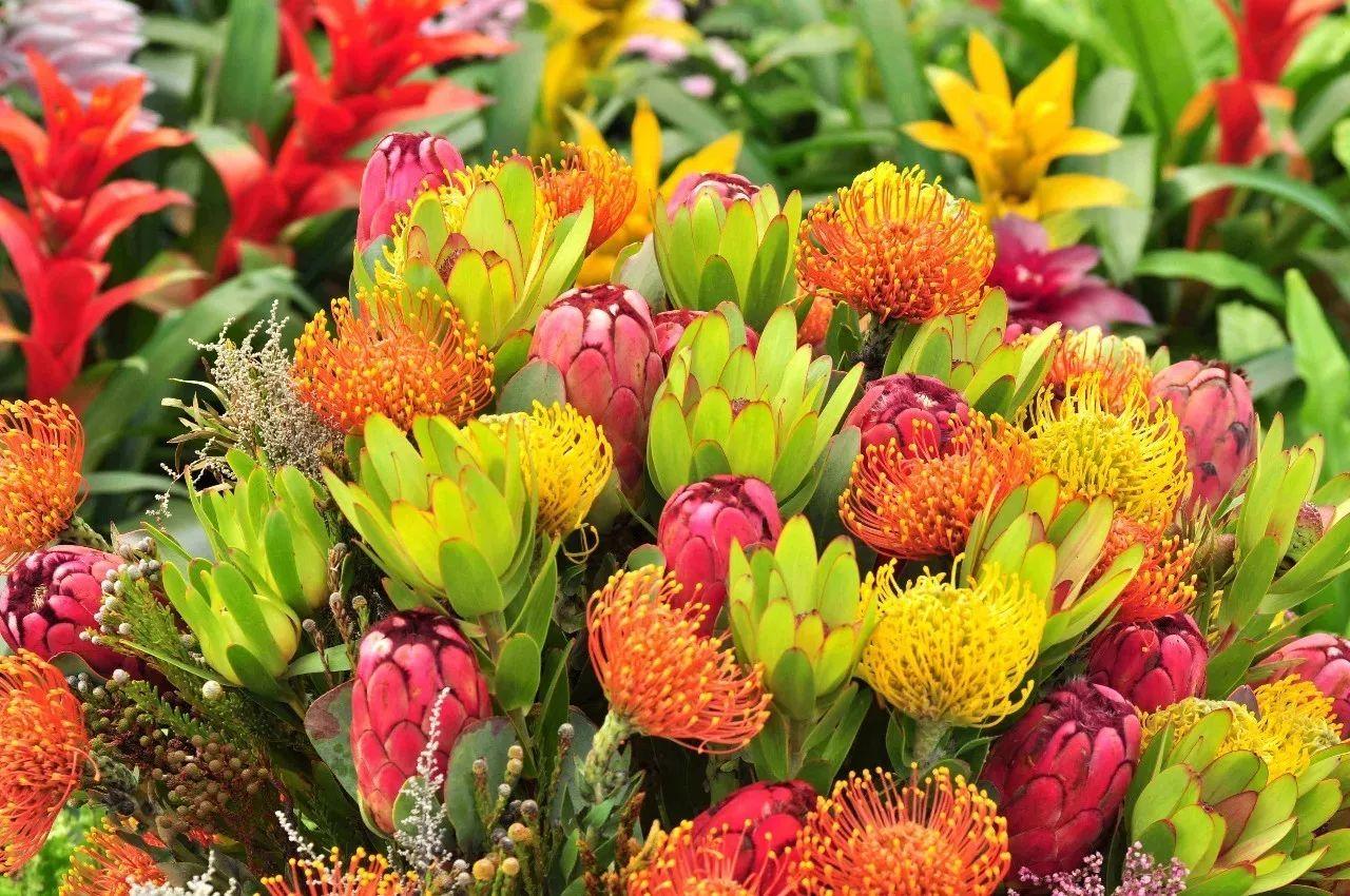 广州长隆特价买一送一,广州长隆票买一送一