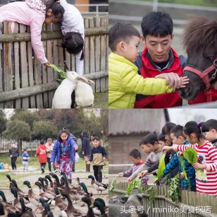 成都周边农场推荐,成都周边最有特色的农场