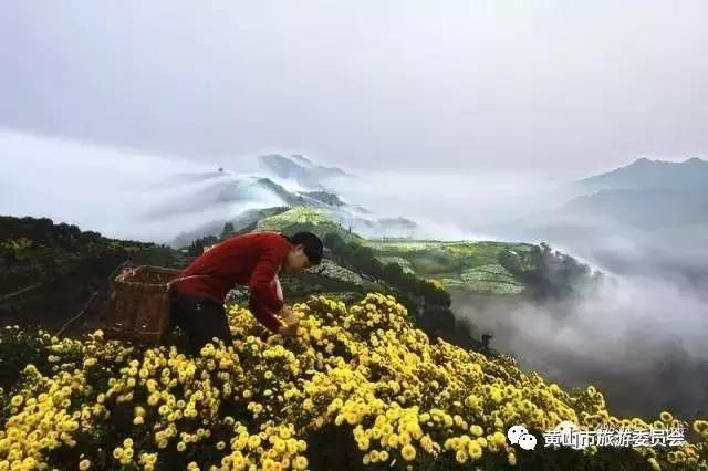 国庆出游去哪儿玩儿,国庆去安徽哪里玩