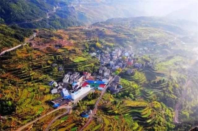 风吹稻浪黄金灿原创,风吹稻田金灿灿原文