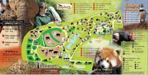 最受欢迎的动物园排行,世界上动物最全的动物园