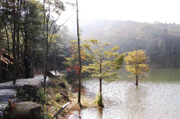 11月份往返机票便宜的地方,11月份机票去哪个地方便宜