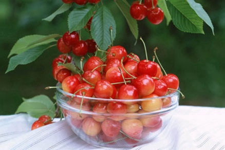 京郊采摘,秋天京郊采摘好去处