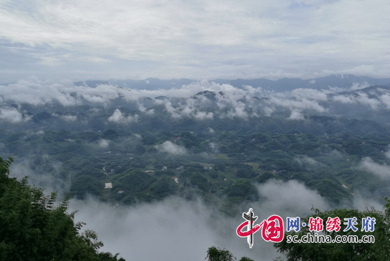 国庆去哪儿玩竹林之乡,蜀南竹海六日游攻略