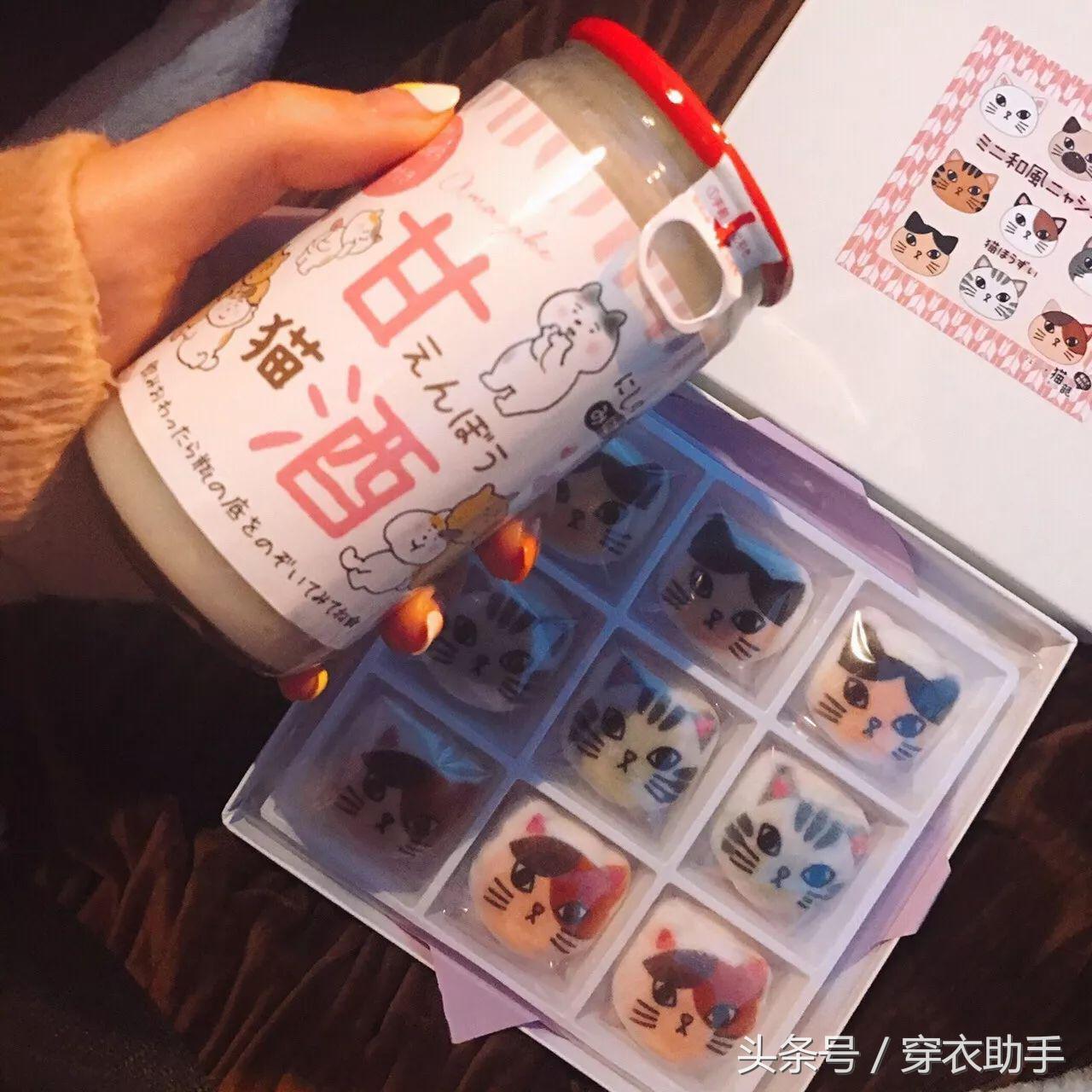 提升猫咪智商的玩具,提高猫咪的生活品质