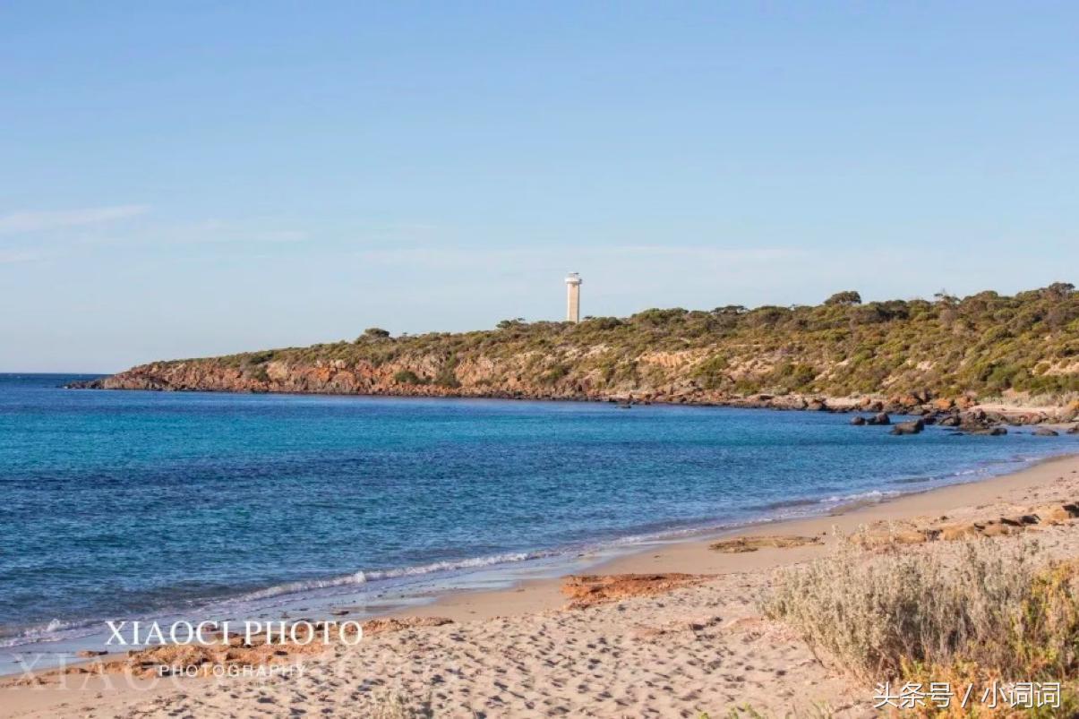 玩转南澳大利亚，这篇最全旅行攻略一定可以帮到你
